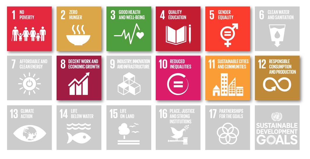 projekt SociSDG - SDG