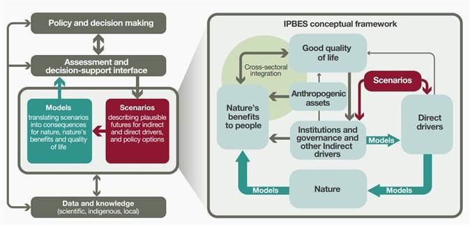 Slika 1. Pregled uloga koje scenariji i modeli imaju u informiranju o politici i donošenju odluka