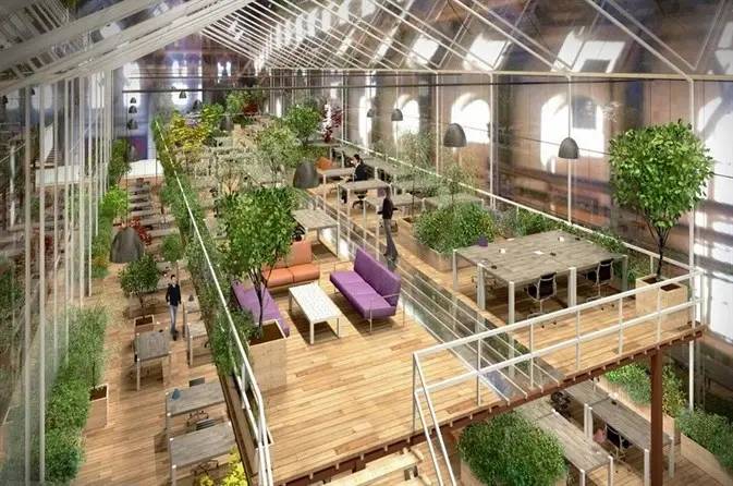 Zeleni ured može poboljšati vašu motivaciju, produktivnost i zdravlje