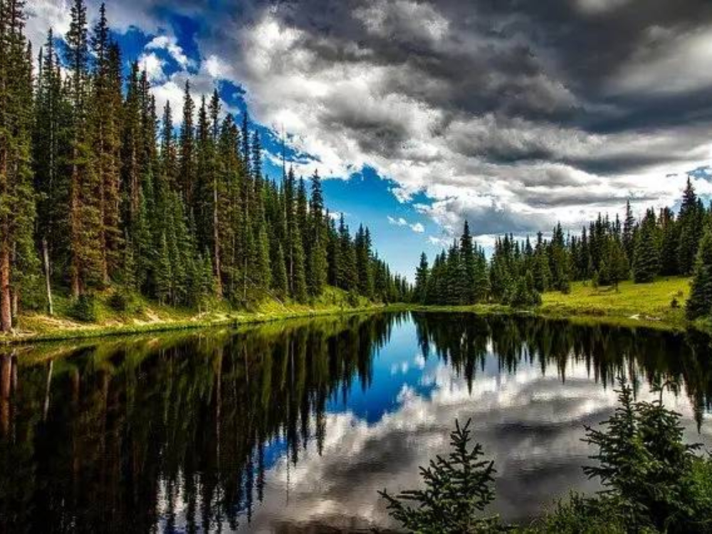 Transformacijsko vodstvo i kako postati organizacija spremna za budućnost